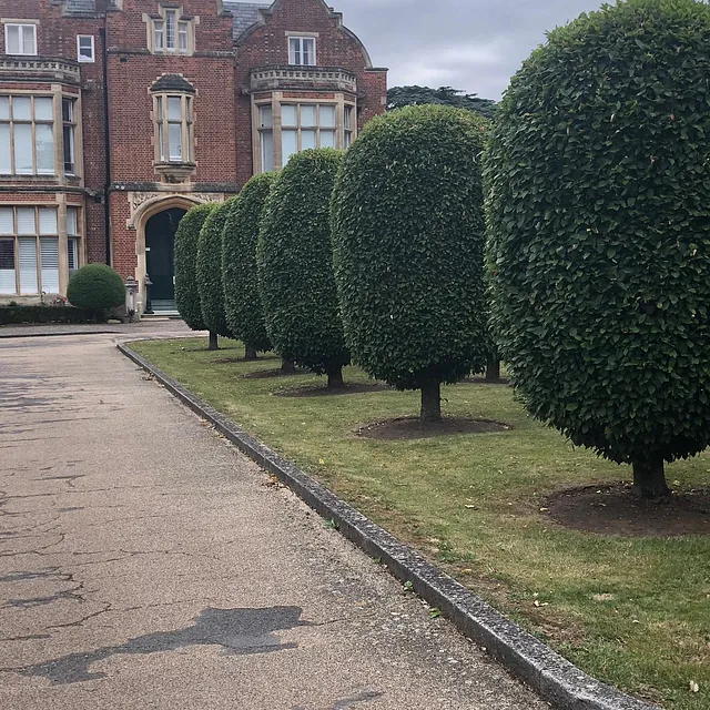 Mark Finch Garden & Grounds Maintenance - Gardeners - Slough - Berkshire