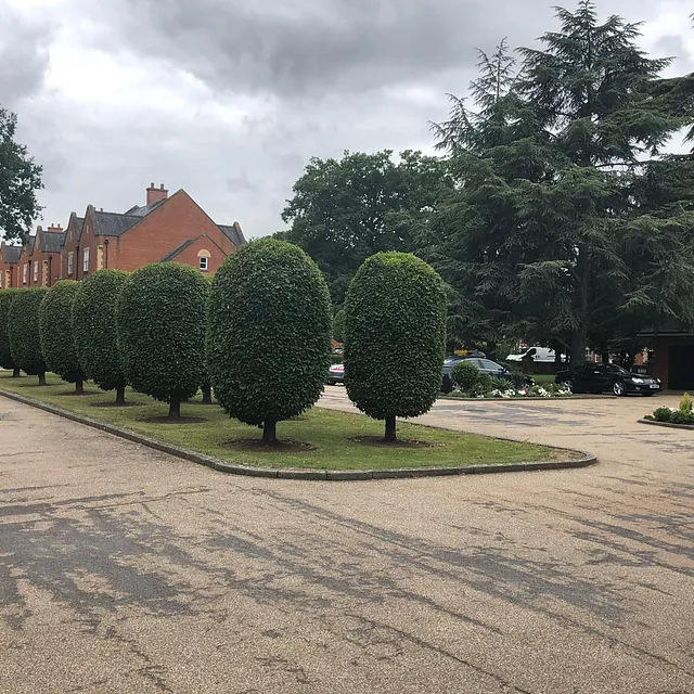 Mark Finch Garden & Grounds Maintenance - Gardeners - Slough - Berkshire