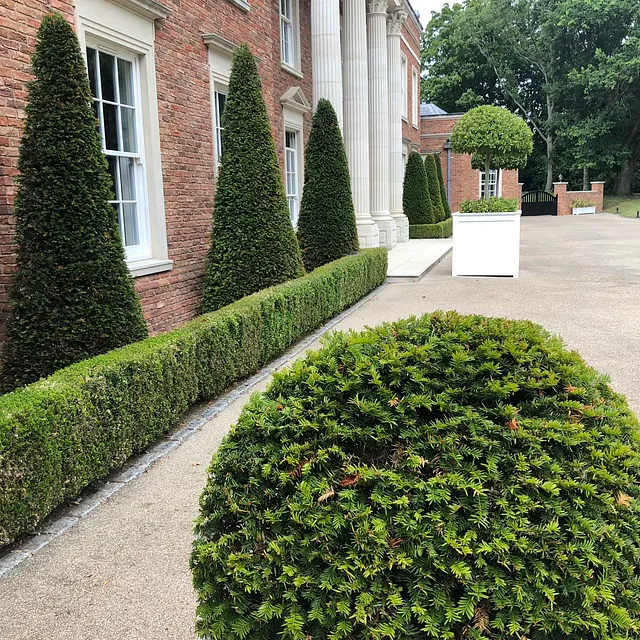 Mark Finch Garden & Grounds Maintenance - Gardeners - Slough - Berkshire