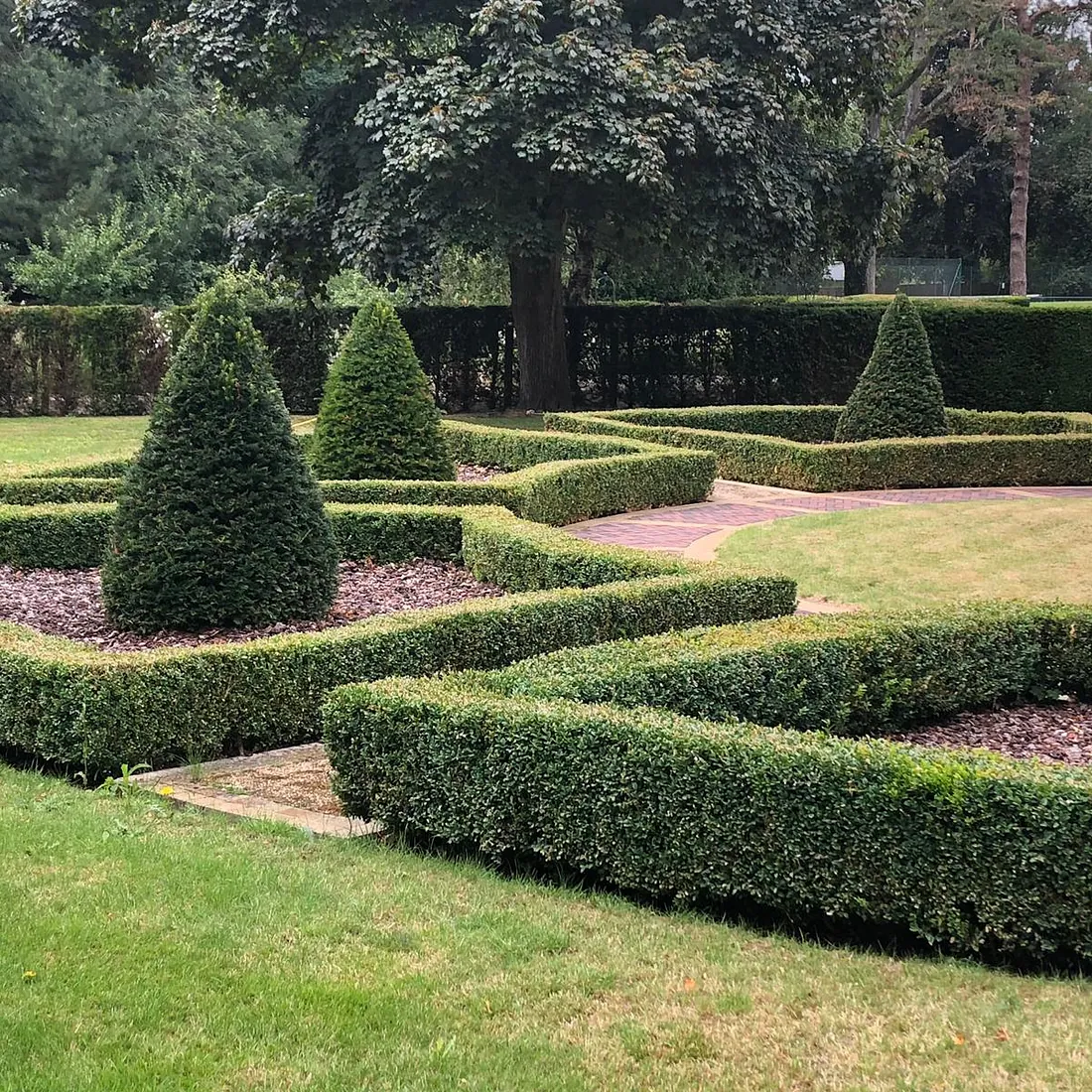 Mark Finch Garden & Grounds Maintenance - Commercial Gardeners - Slough