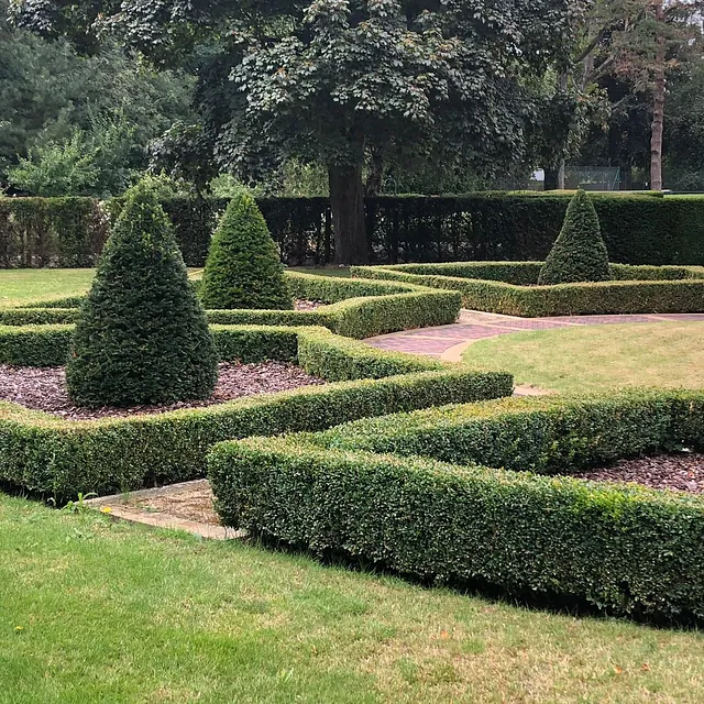Mark Finch Garden & Grounds Maintenance - Gardeners - Slough - Berkshire
