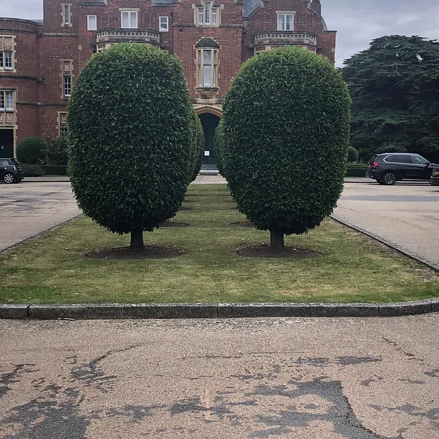 Mark Finch Garden & Grounds Maintenance - Gardeners - Slough - Berkshire