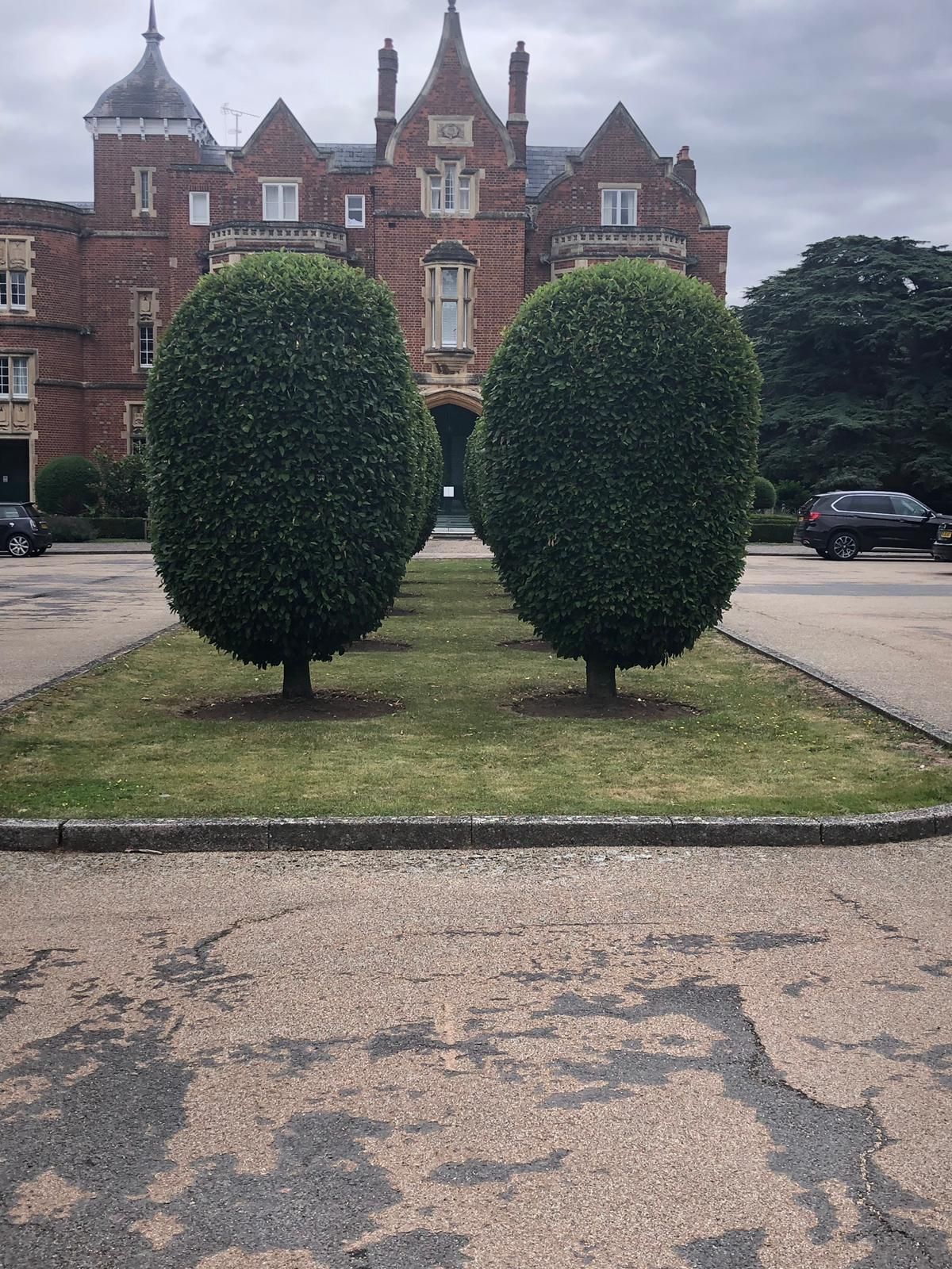 Mark Finch Garden & Grounds Maintenance Commercial Gardener