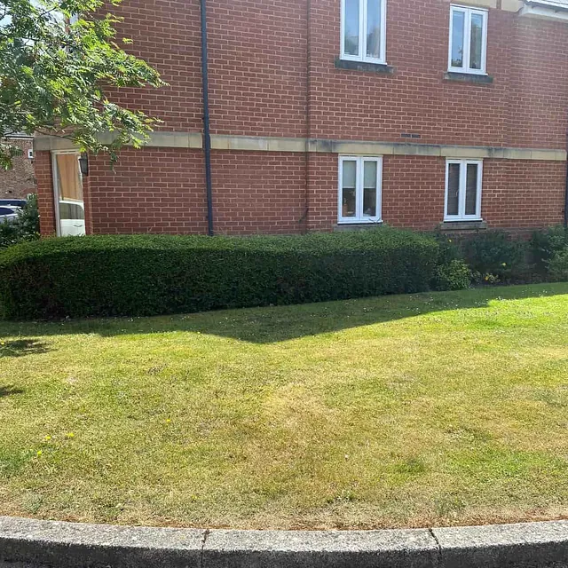 grounds maintenance and care